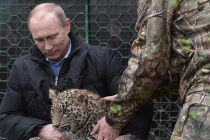 Tổng thống Putin gây sốt vì thuần phục báo hoang 