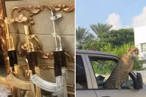 Trùm ma túy Mexico tung ảnh khoe cuộc sống vương giả