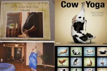 Top 10 bộ lịch năm 2014 độc nhất vô nhị