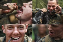 Khiếp đảm lính Mỹ uống máu rắn, cắn cổ gà