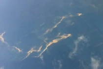 Vết dầu ngoài khơi Việt Nam không phải của máy bay Malaysia