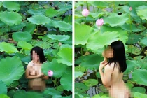 Loã lồ trong đầm sen: Chỉ làm ô uế hoa đẹp!