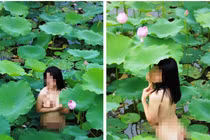 Loã lồ trong đầm sen: Chỉ làm ô uế hoa đẹp!