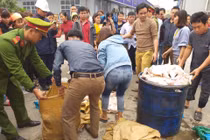 Nghi vấn thức ăn của Công ty Great Global International có mùi hôi thối? 