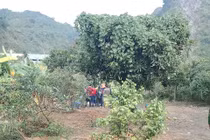 Công an QN thông tin vụ người đàn ông tử vong khi truy bắt pháo nổ