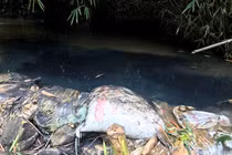 Nước máy Hà Nội bốc mùi lạ vì dầu thải: Hung thủ nào “xả” vào nguồn nước Sông Đà?