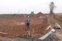 Lợi dụng dồn điền, đổi thửa khai thác đất trái phép: UBND huyện Cẩm Giàng vào cuộc