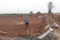 Lợi dụng dồn điền, đổi thửa khai thác đất trái phép: UBND huyện Cẩm Giàng vào cuộc