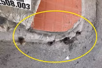 Sợ ô tô va quệt vào nhà, gia chủ cắm "chông sắt" phòng thủ