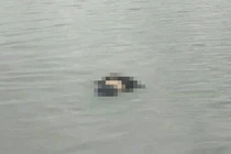 Phát hiện thi thể 2 nam, nữ nổi lập lờ gần bờ biển