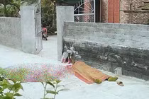 Vừa ăn trưa cùng nhau đã đâm nhau đến chết