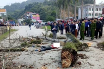 Người đi bộ bị cành cây rơi vào đầu tử vong là ai? 