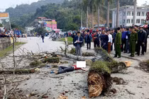 Người đi bộ bị cành cây rơi vào đầu tử vong là ai? 