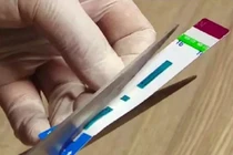 Nhân viên Bệnh viện Xanh Pôn gian dối xét nghiệm: Có thể truy tố hình sự?