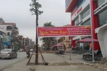 Kỳ lạ hàng cây xanh trồng “dưới lòng đường” ở Uông Bí