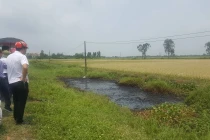 Mương nước chất thải độc hải ở Hải Phòng: Cận cảnh những hố nước đen xì