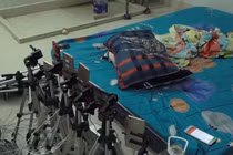 Người TQ thuê gái trẻ đóng phim “con heo”: Thu lợi khủng