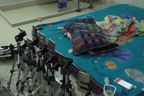 Người TQ thuê gái trẻ đóng phim “con heo”: Thu lợi khủng