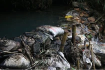 10m3 dầu thải đổ xuống sông Đà ô nhiễm nước máy Hà Nội: “Hung thủ” khai chưa trung thực?