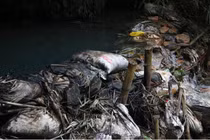 10m3 dầu thải đổ xuống sông Đà ô nhiễm nước máy Hà Nội: “Hung thủ” khai chưa trung thực?