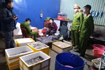 Công an Hải Phòng thông tin vụ bơm tạp chất vào tôm
