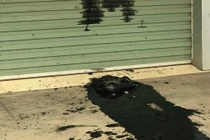 Hải Phòng: Nhóm người đổ cả xô chất thải "khủng bố" công ty taxi