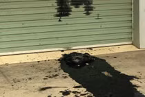 Thanh tra hãng taxi thuê người đổ cả xô chất thải “khủng bố” hãng taxi Đất Cảng