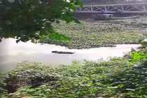 Hải Dương: Xót thương phát hiện thi thể nữ giới trôi sông ngày 4 Tết