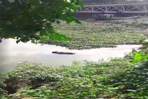 Hải Dương: Xót thương phát hiện thi thể nữ giới trôi sông ngày 4 Tết