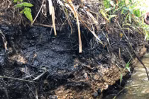 Ô nhiễm nước sạch sông Đà: Cần xem xét thêm tội “Thiếu trách nhiệm gây hậu quả nghiêm trọng”?