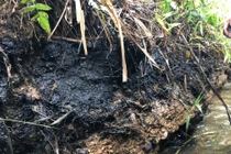 Ô nhiễm nước sạch sông Đà: Cần xem xét thêm tội “Thiếu trách nhiệm gây hậu quả nghiêm trọng”?