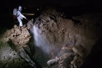 Dịch tả lợn xuất hiện tại Hải Dương: Khẩn trương tiêu hủy 169 con lợn