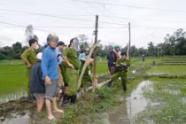 Giăng điện bẫy chuột làm chết người ở Thái Bình: Có thể truy tố hình sự?