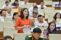 Quốc hội giám sát tối cao về phòng chống xâm hại trẻ em năm 2020