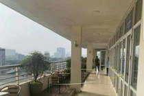 Sự thật về Thứ trưởng Bộ GD&ĐT Lê Hải An ngã lầu qua đời ở trụ sở Bộ