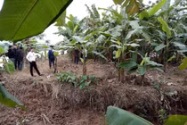 Liên tiếp phát hiện xác chết trôi sông ở Thái Bình