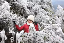 Dự báo thời tiết 24/12: Miền Bắc sắp đón đợt rét hại đầu tiên, có băng tuyết