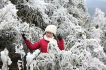 Dự báo thời tiết 24/12: Miền Bắc sắp đón đợt rét hại đầu tiên, có băng tuyết