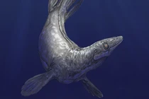 Thủy quái lạ 94 triệu tuổi trồi lên giữa công viên quốc gia