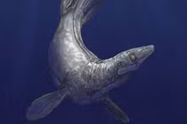 Thủy quái lạ 94 triệu tuổi trồi lên giữa công viên quốc gia