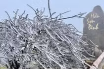 Vì sao đỉnh Mẫu Sơn lại có tuyết, lạnh nhất Việt Nam?