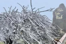 Vì sao đỉnh Mẫu Sơn lại có tuyết, lạnh nhất Việt Nam?