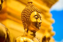 Con người nếu nuôi dưỡng 3 loại tâm tặc này ắt tài lộc hao mòn 