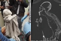 Tiết lộ mới về ‘xác ướp người ngoài hành tinh’ 3 ngón tay