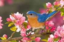 Cánh cửa năm 2022 rộng mở với 4 con giáp này