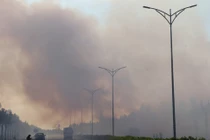 Toàn cảnh vụ cháy lớn tại rừng keo ven biển Quảng Nam 