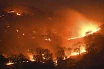 Video: Vì sao cháy rừng đang diễn ra trên khắp thế giới?