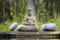 Ngựa không tranh tốc độ với trâu, chồng không tranh thắng thua với vợ