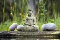 Ngựa không tranh tốc độ với trâu, chồng không tranh thắng thua với vợ