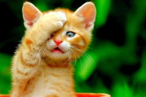 Thần Tài ban lộc tháng 3 dương, 3 con giáp rước hên vào nhà